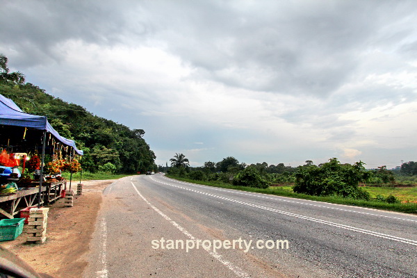 Bangi Mountain Land