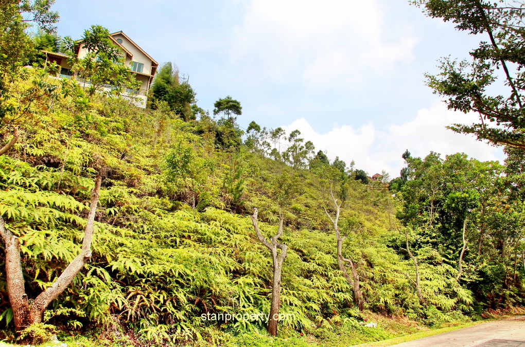 Resort Bungalow Land