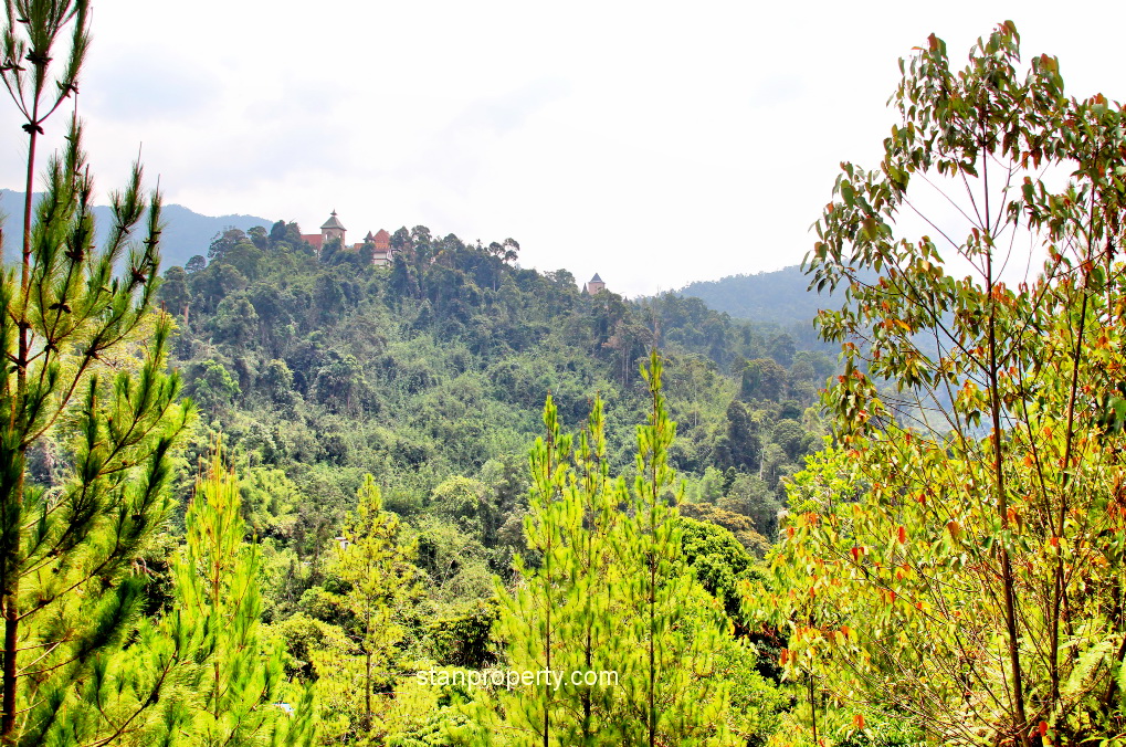 Resort Bungalow Land