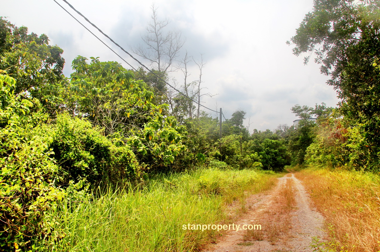 Mentakab Bungalow Land For Sale