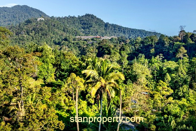 Janda Baik Stunning Resort Bungalow Land