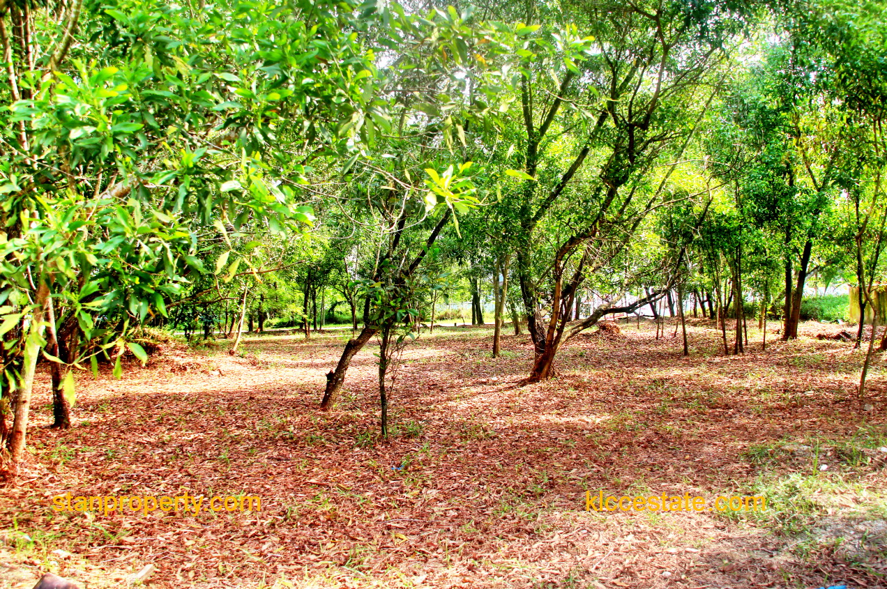 Putra Heights Bungalow Land