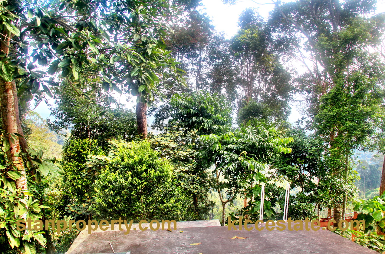 Janda Baik Bungalow for Sale