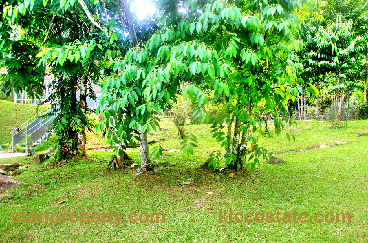 Janda Baik Bungalow