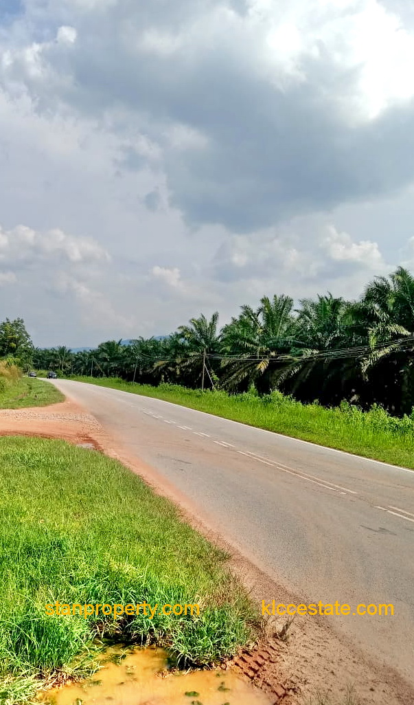 Simpang Petang Land