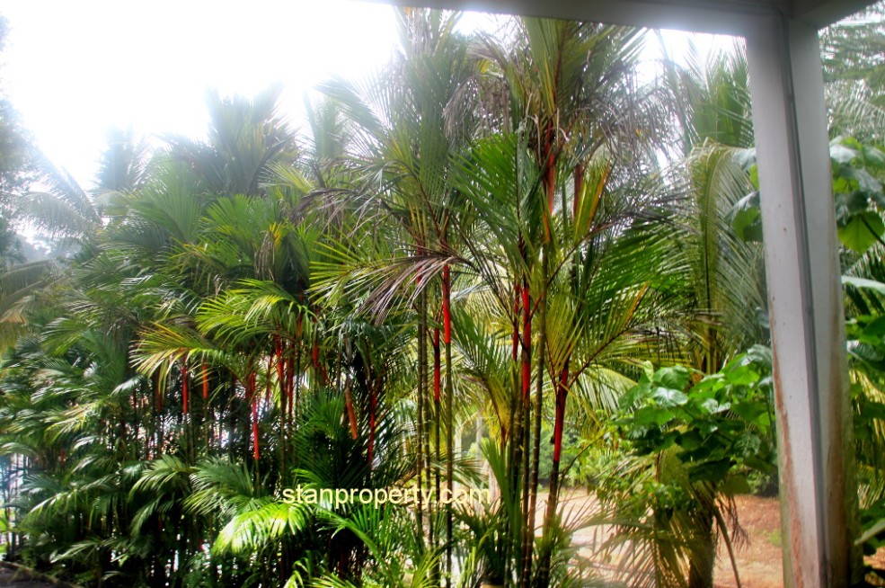 Property Malaysia For Sale