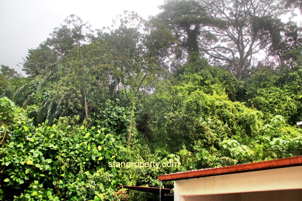 Property Malaysia For Sale