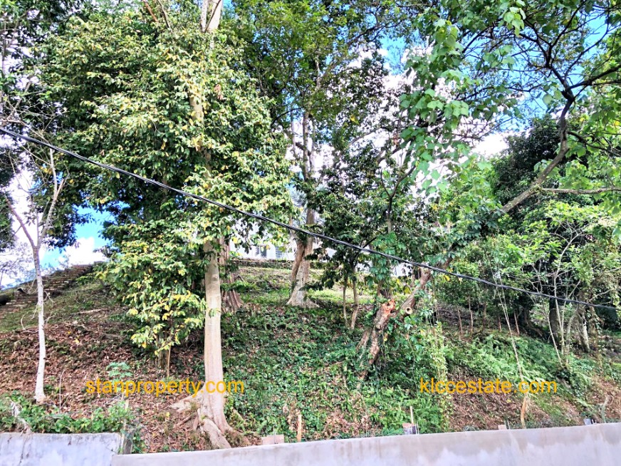 Property Malaysia For Sale