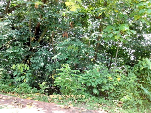 Property Malaysia For Sale