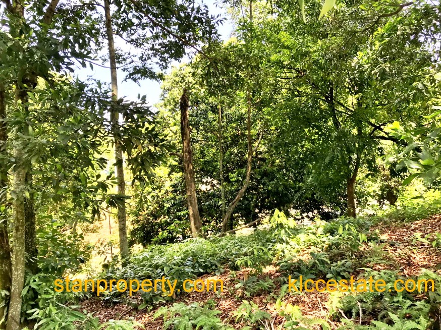 Property Malaysia For Sale