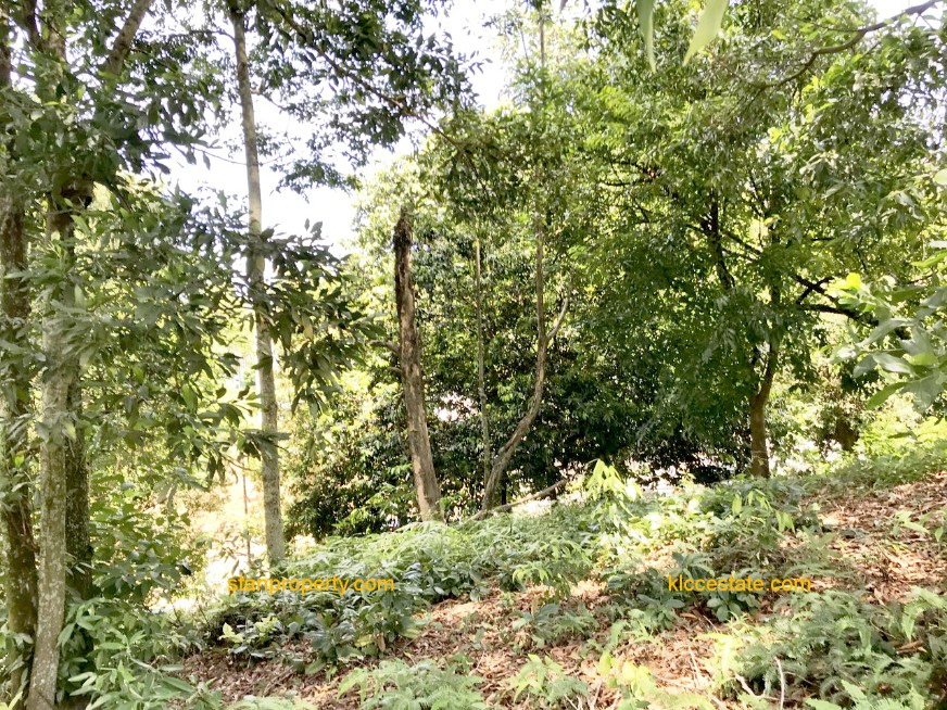 Property Malaysia For Sale