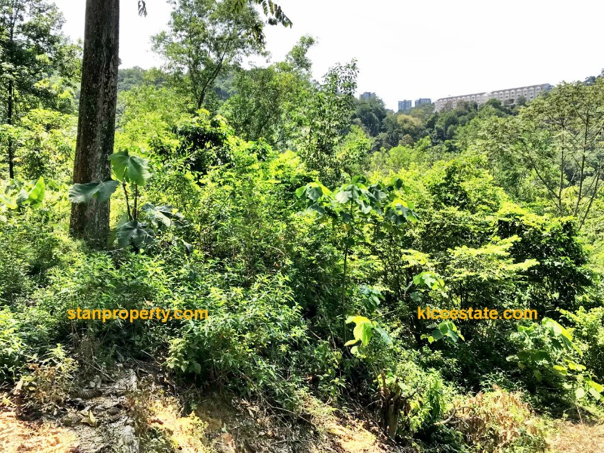 Property Malaysia For Sale