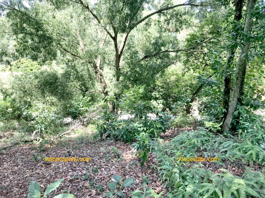 Property Malaysia For Sale