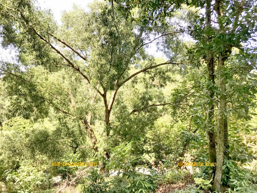 Property Malaysia For Sale