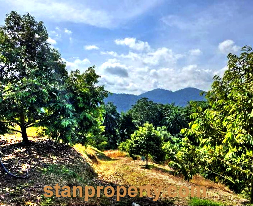 Stanproperty Property