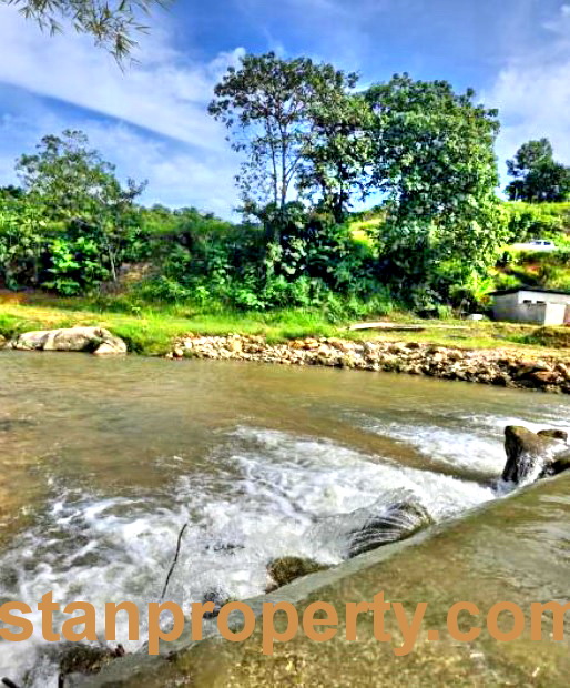 Stanproperty Semenyih Durian Farm