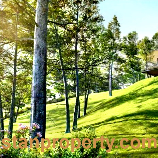 Stanproperty Durian Orchard