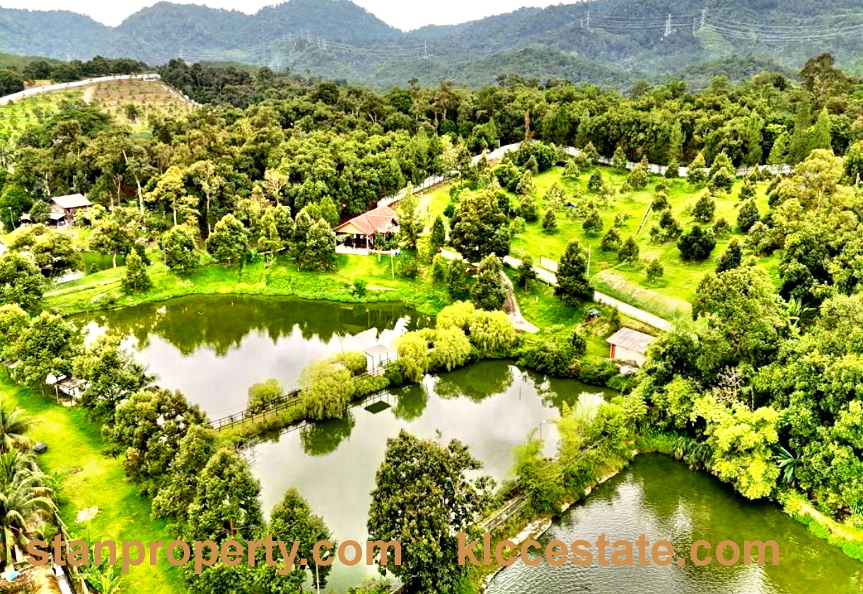 Stanproperty Hulu Langat Land For Sale