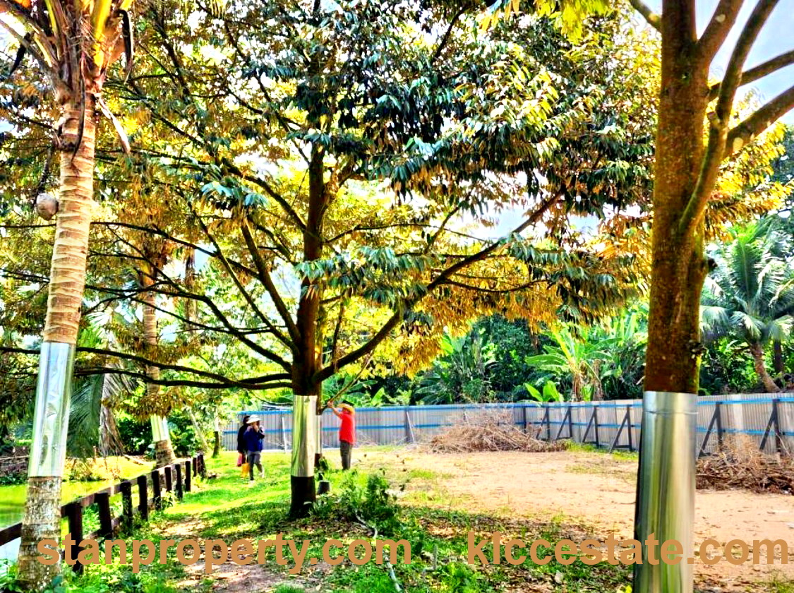 Stanproperty Hulu Langat Land For Sale